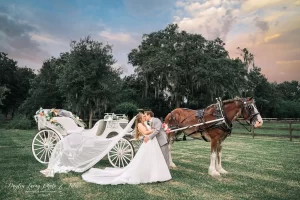 Barn Wedding Venue