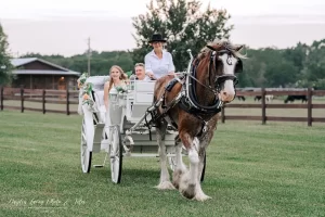 Farm Weddings